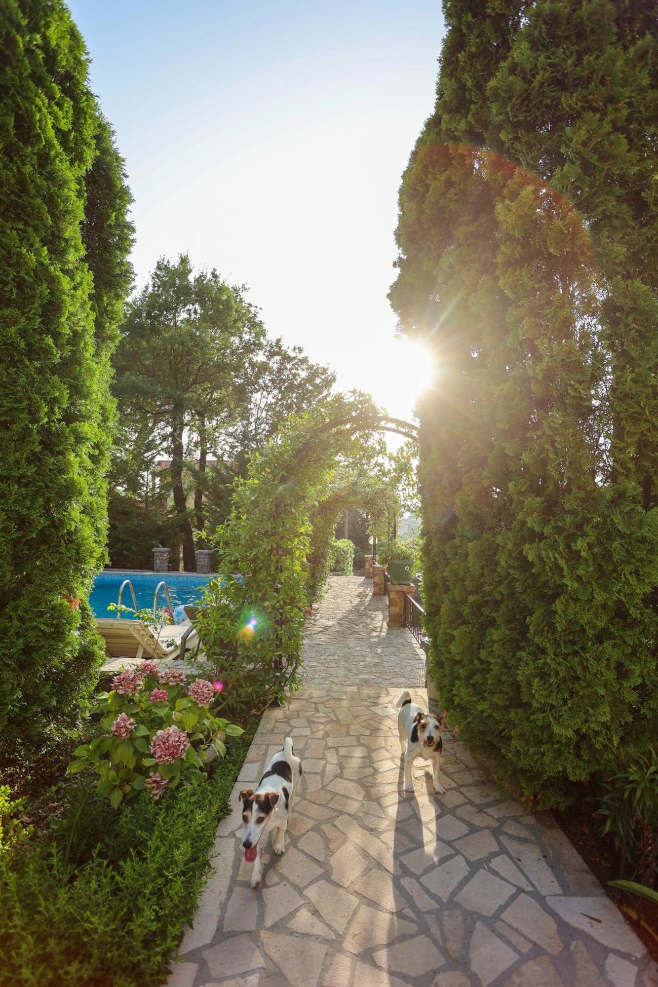 Villa Besha Herceg Novi Ngoại thất bức ảnh
