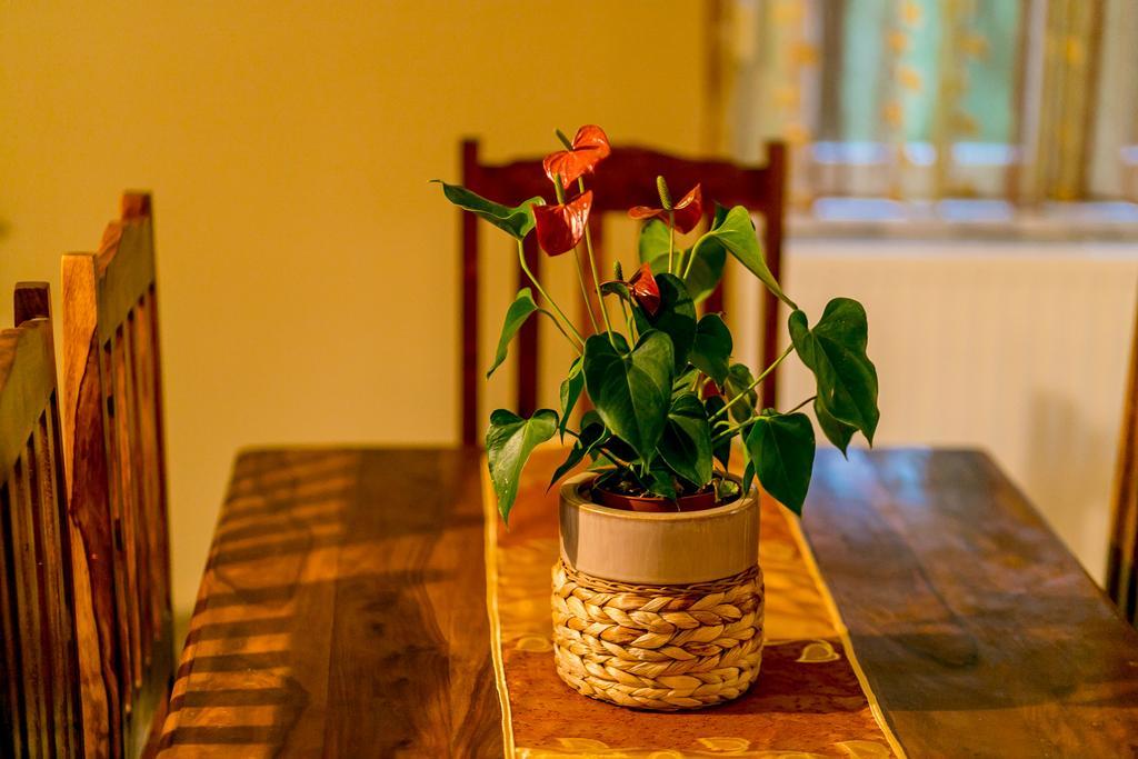 Villa Besha Herceg Novi Ngoại thất bức ảnh